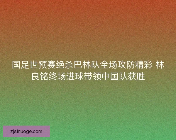 国足世预赛绝杀巴林队全场攻防精彩 林良铭终场进球带领中国队获胜