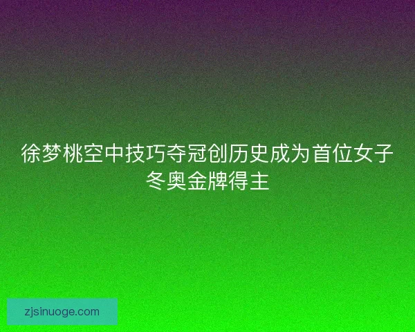 徐梦桃空中技巧夺冠创历史成为首位女子冬奥金牌得主