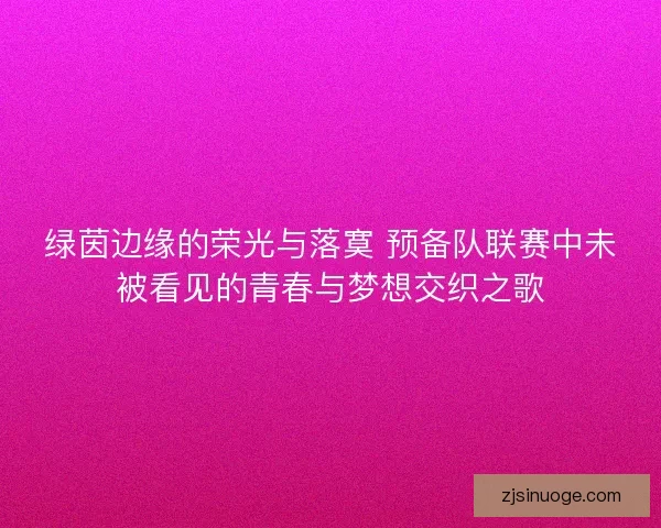 绿茵边缘的荣光与落寞 预备队联赛中未被看见的青春与梦想交织之歌